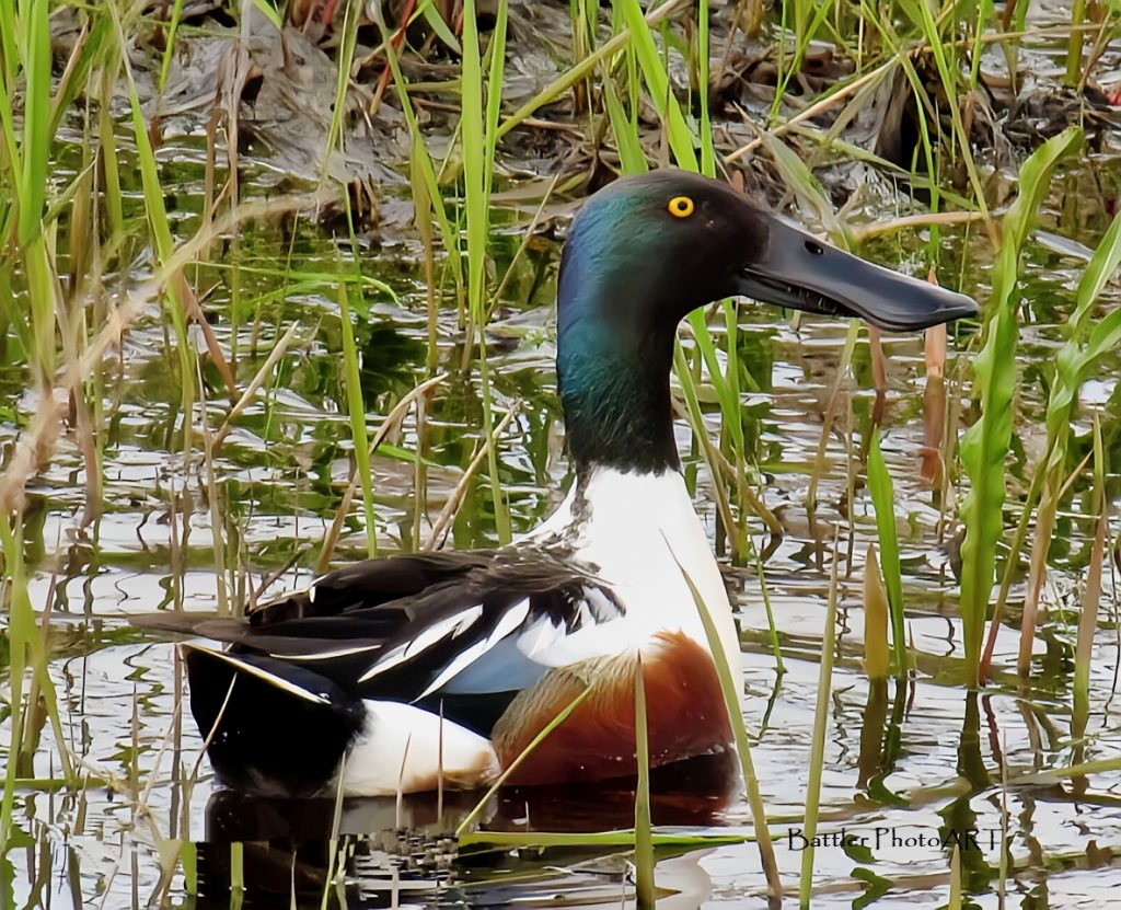 stand in your lot Dan 12:13