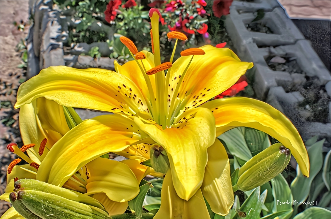 all creation depends on God