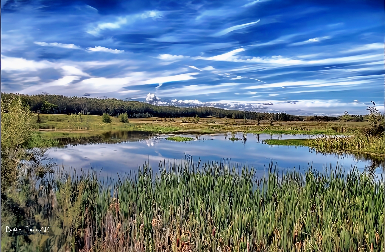 "by the still waters"