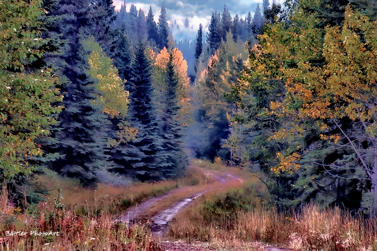 light unto my path Psalms 119:105