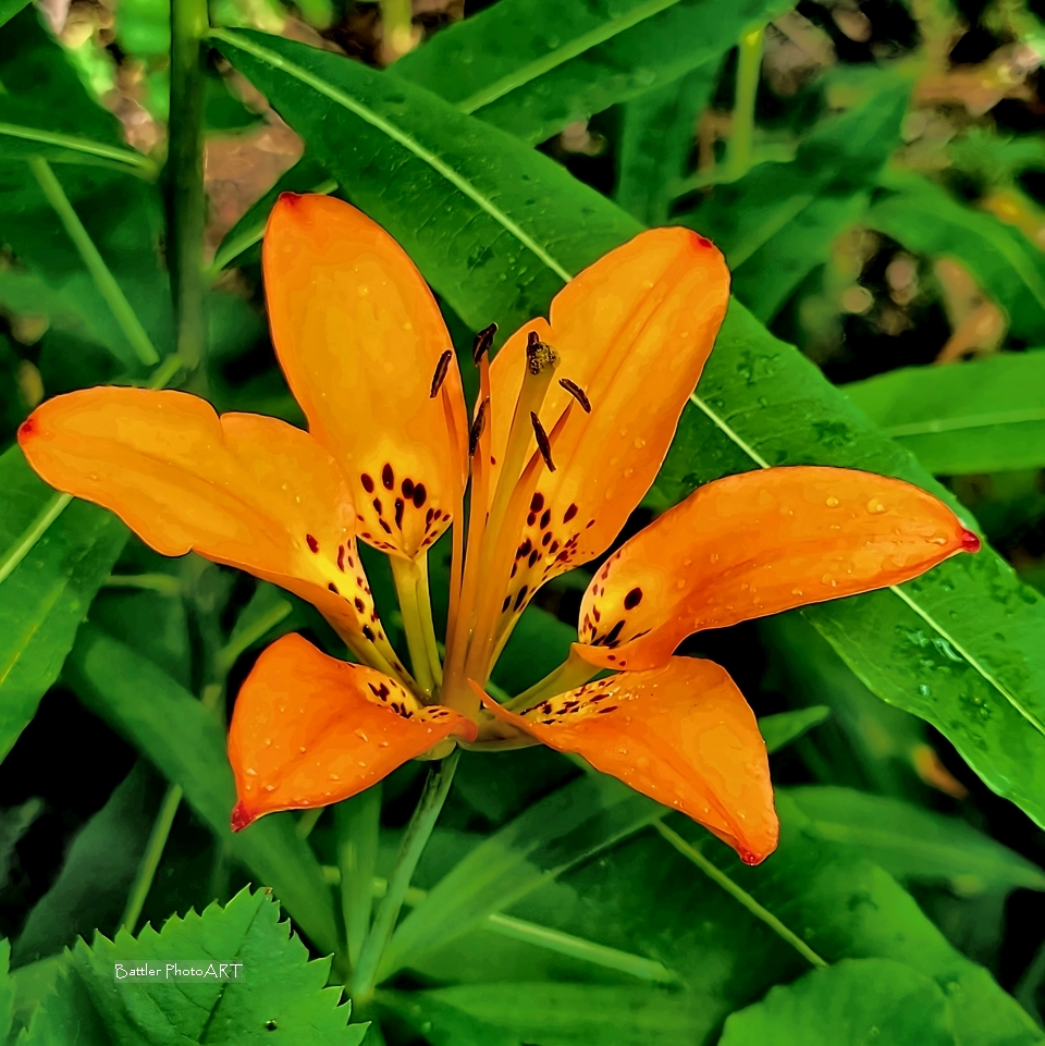 love never loses hope