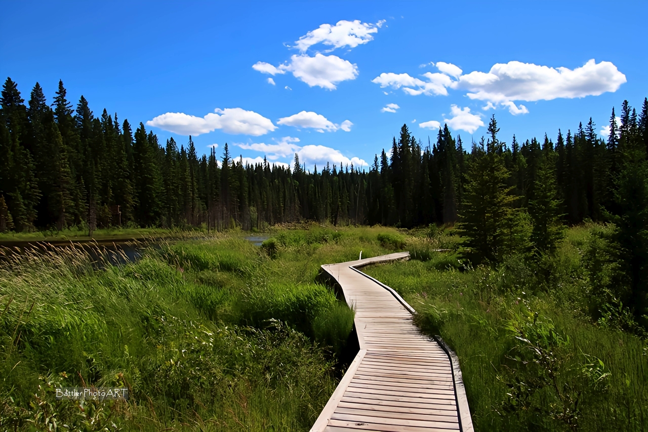 God blesses each day