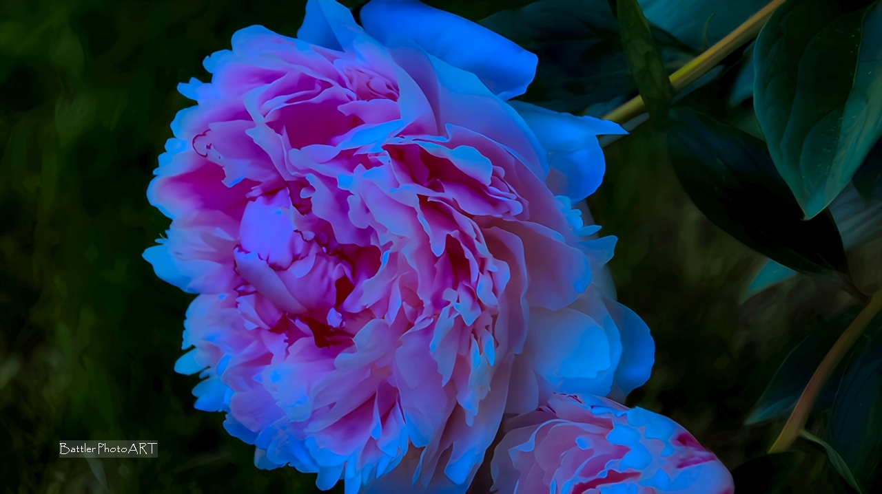 in the bulb